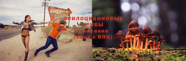ешки Краснотурьинск