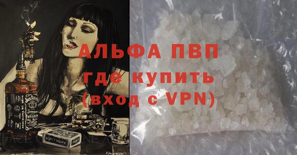 СК Корсаков