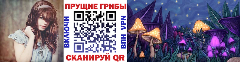 Псилоцибиновые грибы Cubensis  Купить  Барабинск 